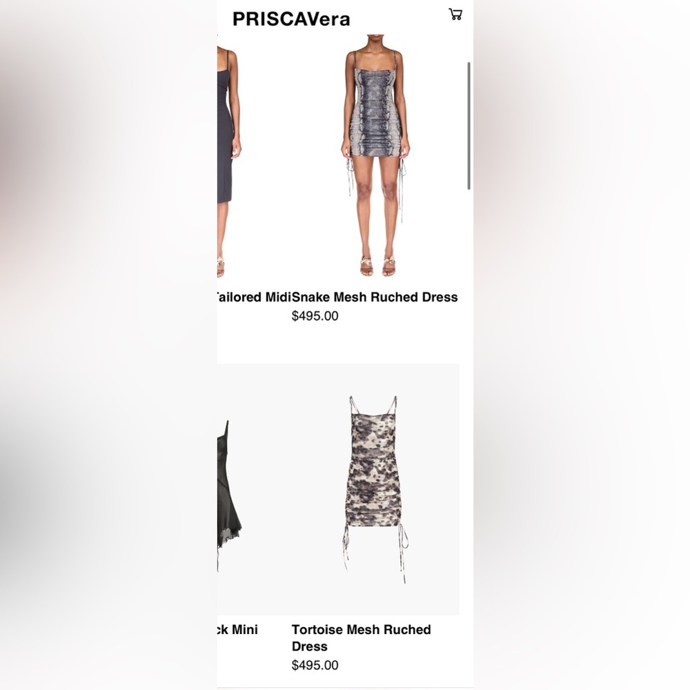 PRISCAVera mini dress animal print - Picture 11 of 12